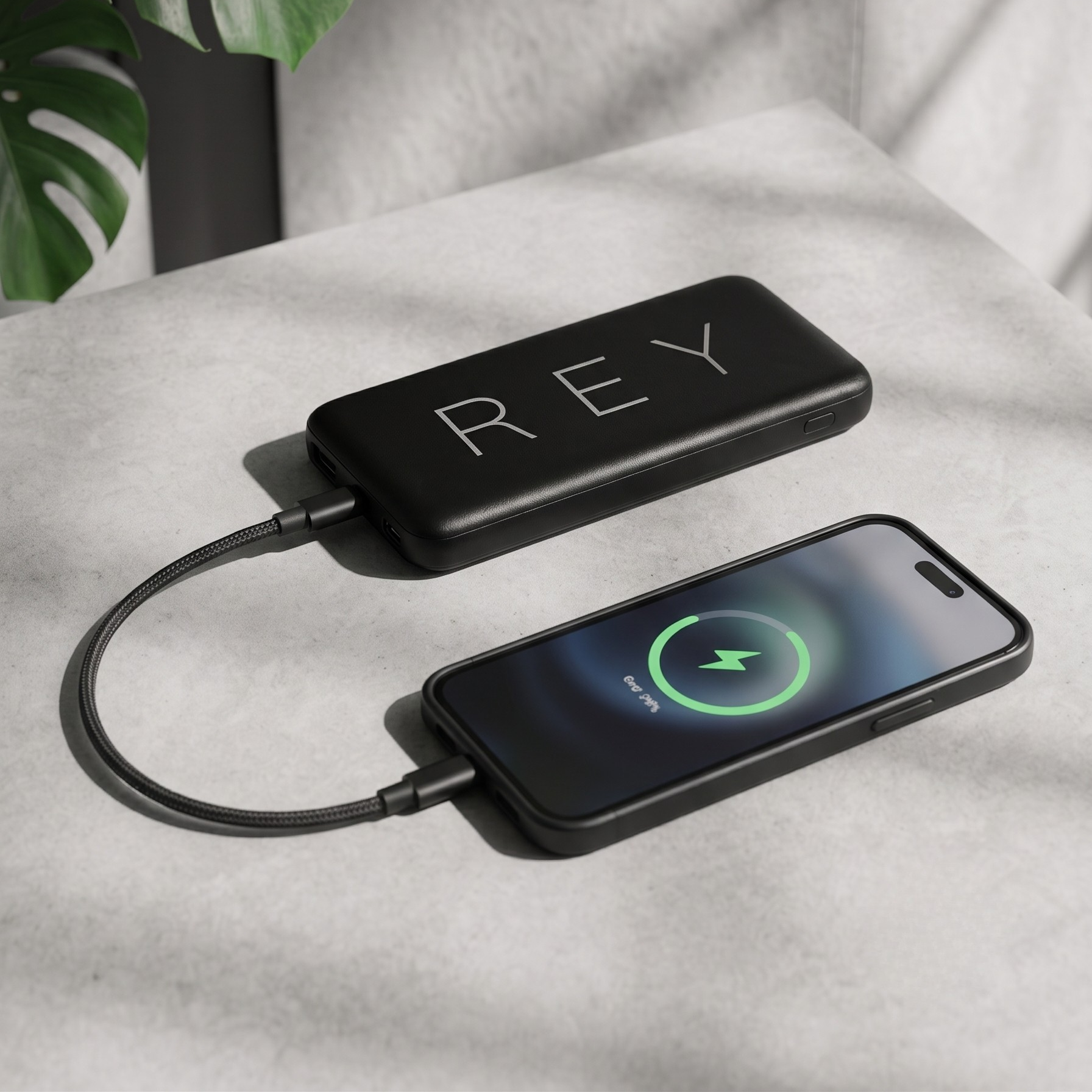REY Premium Powerbank